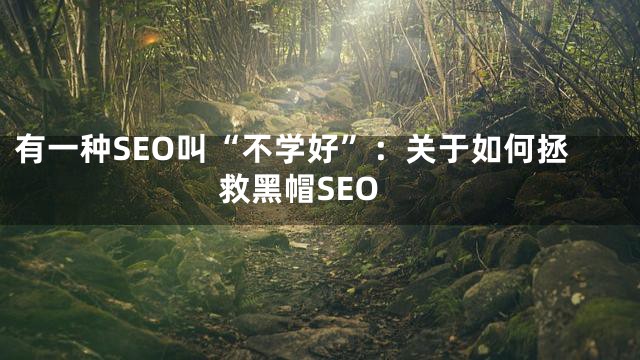 有一种SEO叫“不学好”：关于如何拯救黑帽SEO