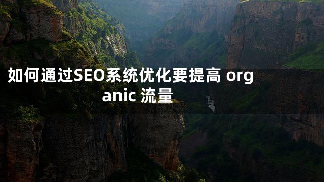 如何通过SEO系统优化要提高 organic 流量