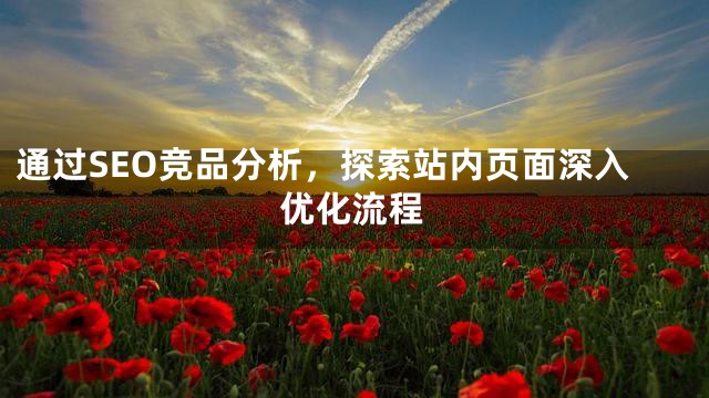 通过竞品分析，进行站内SEO深入优化