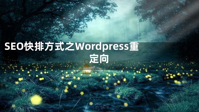 SEO快排方式之Wordpress重定向