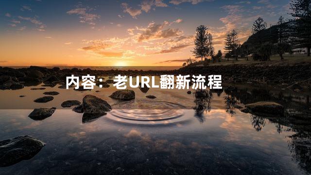 内容：老URL翻新流程