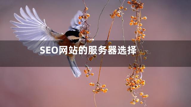 SEO网站的服务器选择