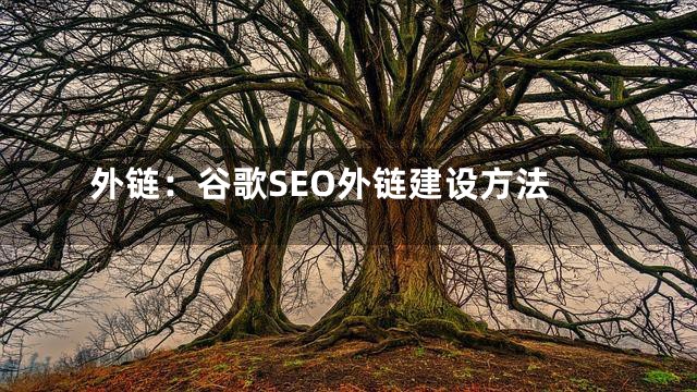 外链：谷歌SEO外链建设方法