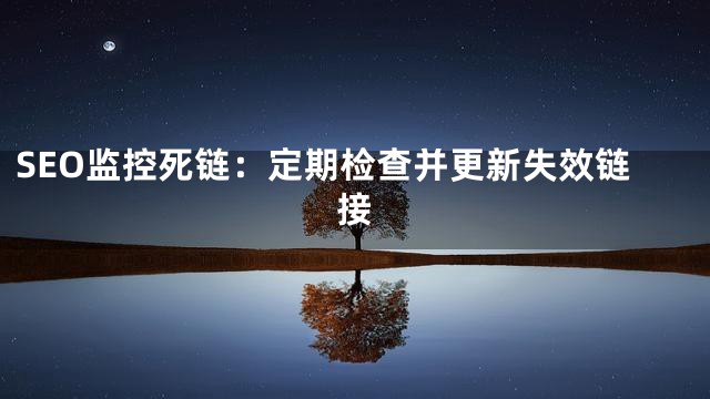 SEO监控死链：定期检查并更新失效链接