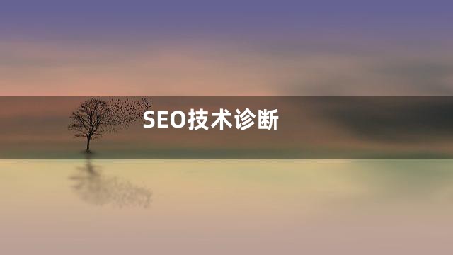 SEO技术诊断