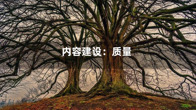 内容建设：质量