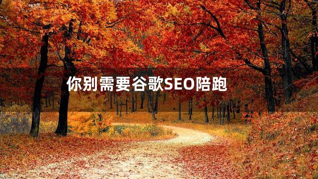 你别需要谷歌SEO陪跑