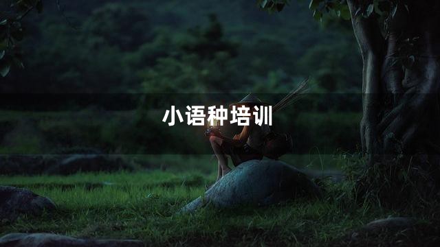 小语种培训